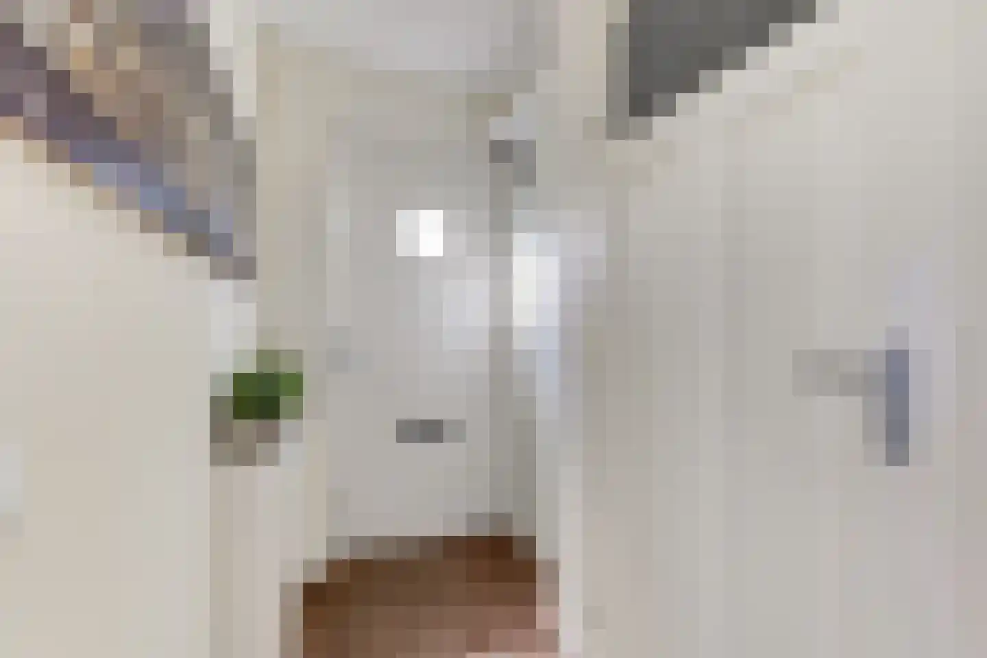 Herenhof 21 Leiderdorp thumbnail 6