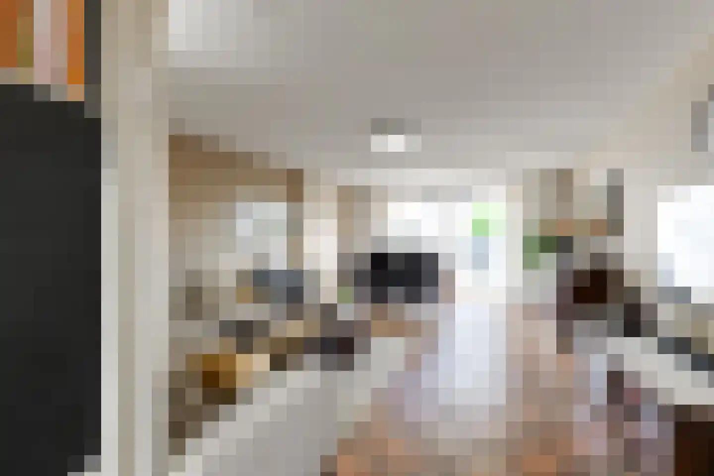 Herenhof 21 Leiderdorp thumbnail 9