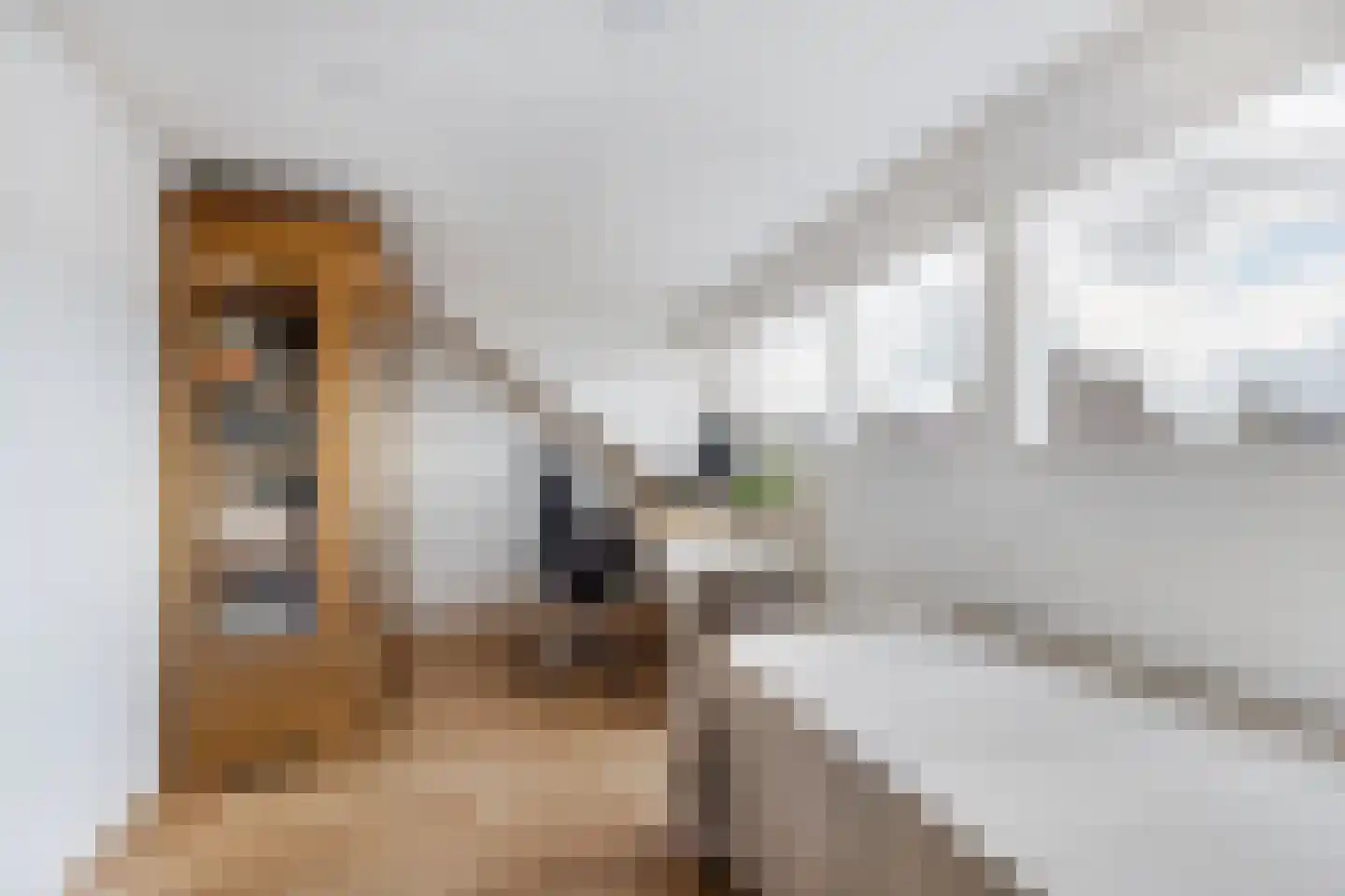 Herenhof 22 Leiderdorp thumbnail 17