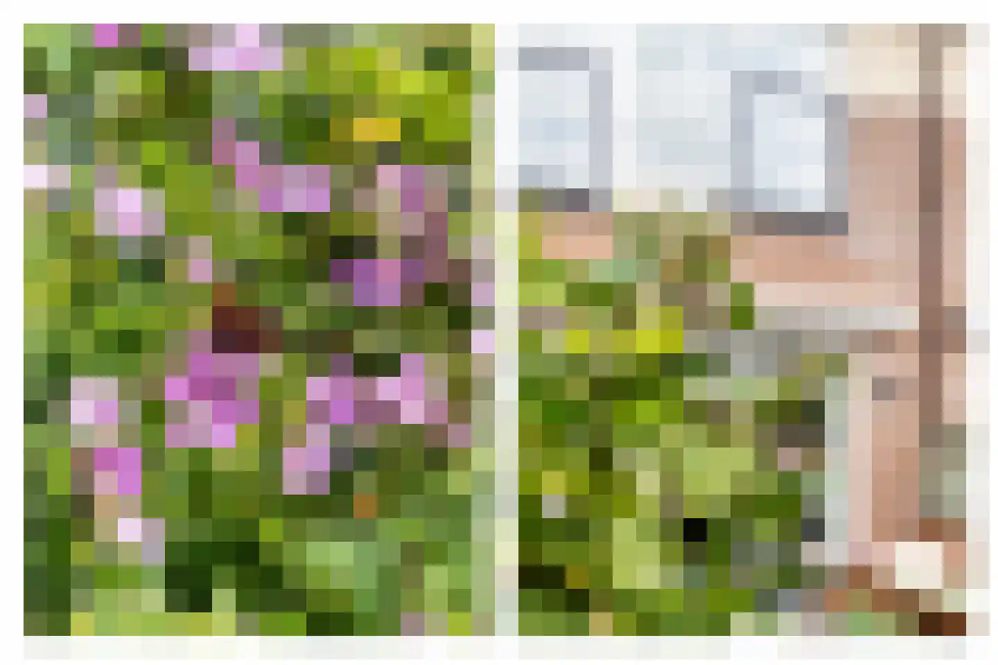 Herenhof 22 Leiderdorp thumbnail 20
