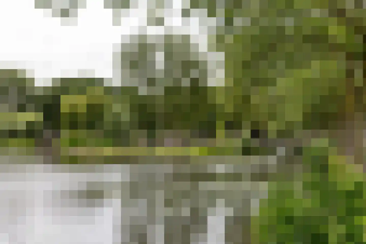 Herenhof 22 Leiderdorp thumbnail 24