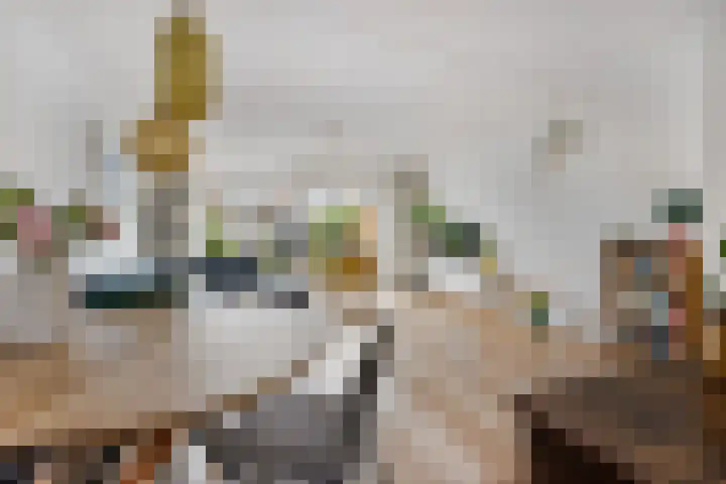 Herenhof 22 Leiderdorp thumbnail 6