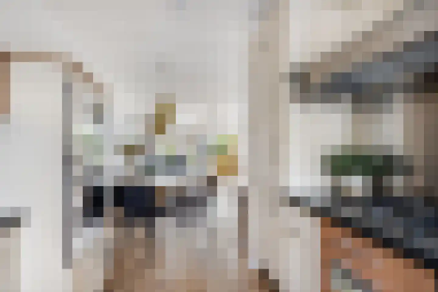 Herenhof 22 Leiderdorp thumbnail 9