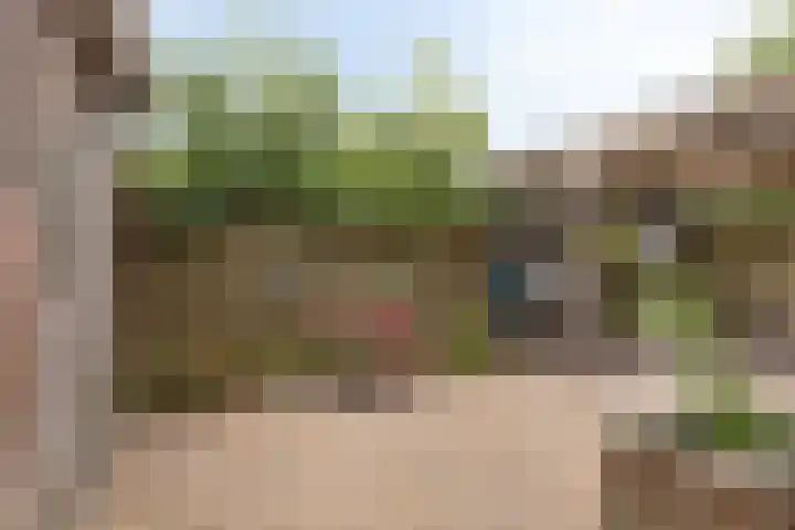 Herenhof 24 Heerenveen thumbnail 33