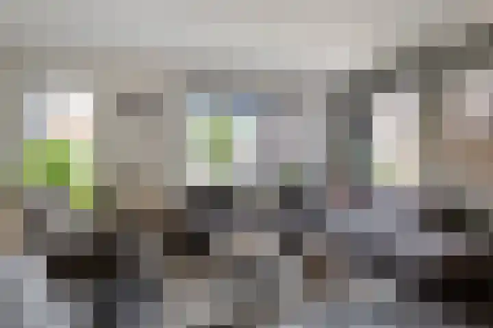 Herenhof 24 Heerenveen thumbnail 7
