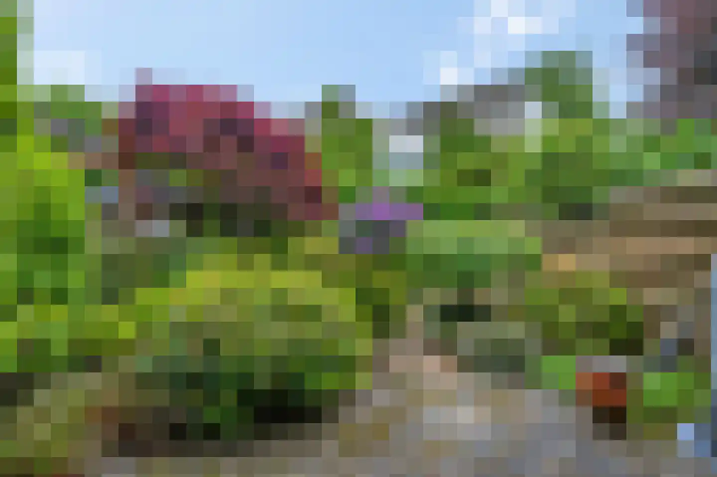 Herenhof 29 Ede thumbnail 22