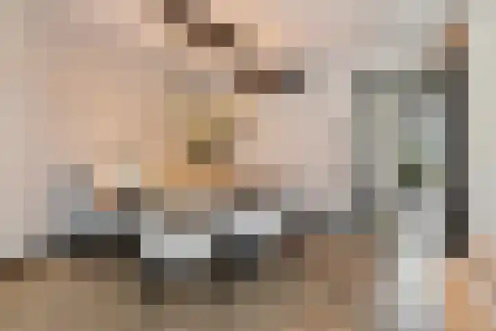Herenhof 3 c Raalte thumbnail 11