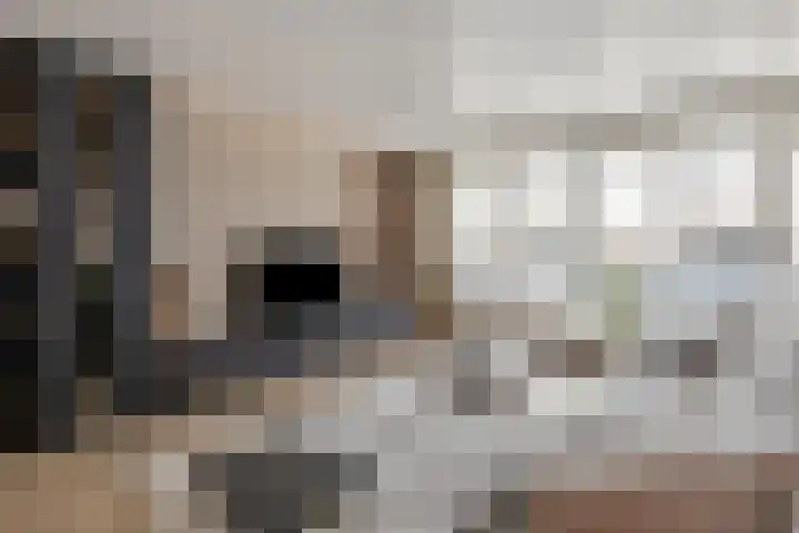 Herenhof 3 c Raalte thumbnail 13