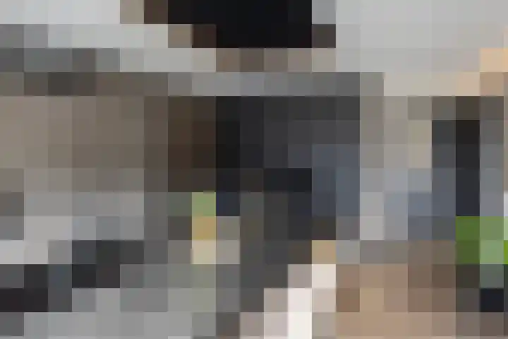 Herenhof 3 c Raalte thumbnail 16