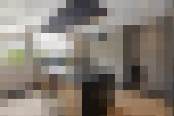 Herenhof 3 c Raalte thumbnail 20