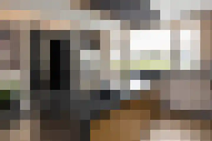 Herenhof 3 c Raalte thumbnail 21