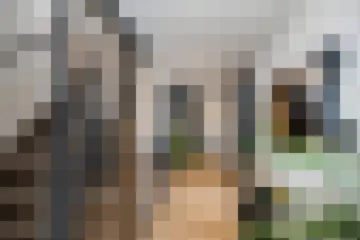 Herenhof 3 c Raalte thumbnail 25