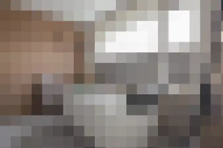 Herenhof 3 c Raalte thumbnail 27