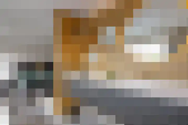Herenhof 3 c Raalte thumbnail 29
