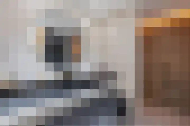 Herenhof 3 c Raalte thumbnail 30