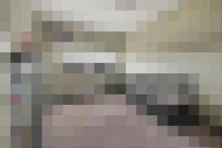 Herenhof 3 c Raalte thumbnail 36