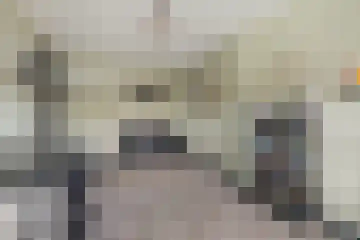 Herenhof 3 c Raalte thumbnail 37