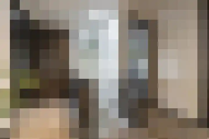 Herenhof 3 c Raalte thumbnail 39
