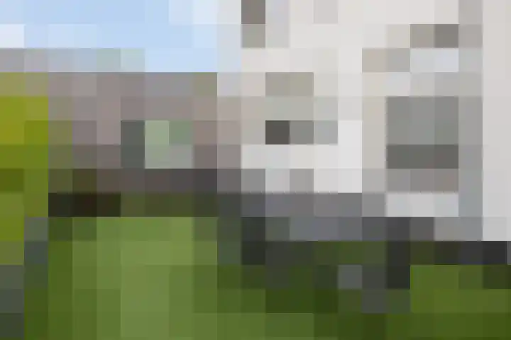 Herenhof 3 c Raalte thumbnail 45