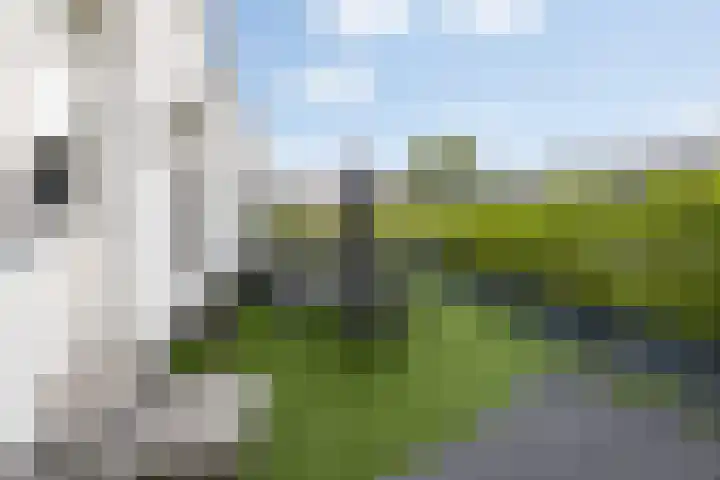 Herenhof 3 c Raalte thumbnail 46