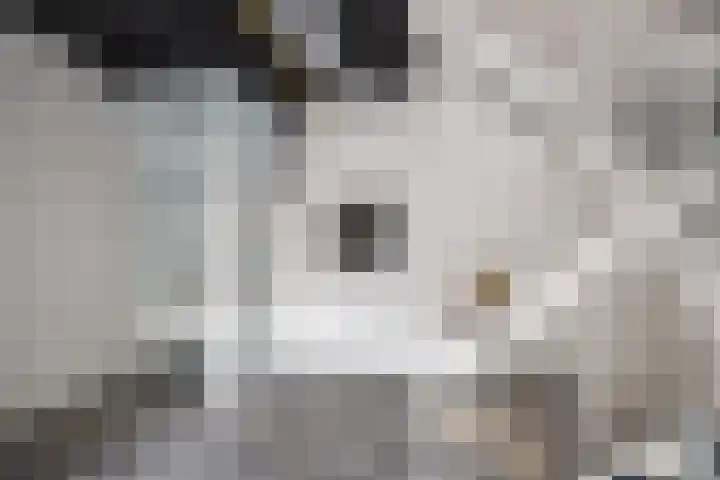Herenhof 3 c Raalte thumbnail 48