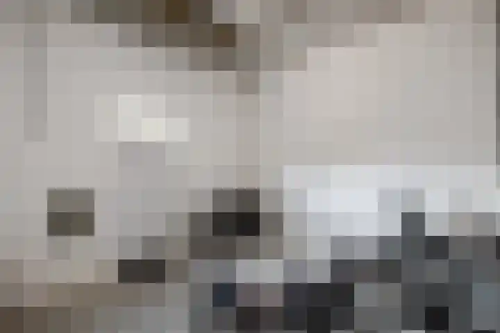 Herenhof 3 c Raalte thumbnail 49