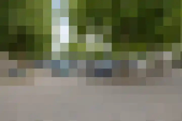 Herenhof 3 c Raalte thumbnail 53