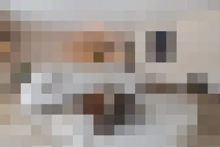 Herenhof 3 c Raalte thumbnail 7