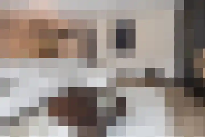 Herenhof 3 c Raalte thumbnail 9