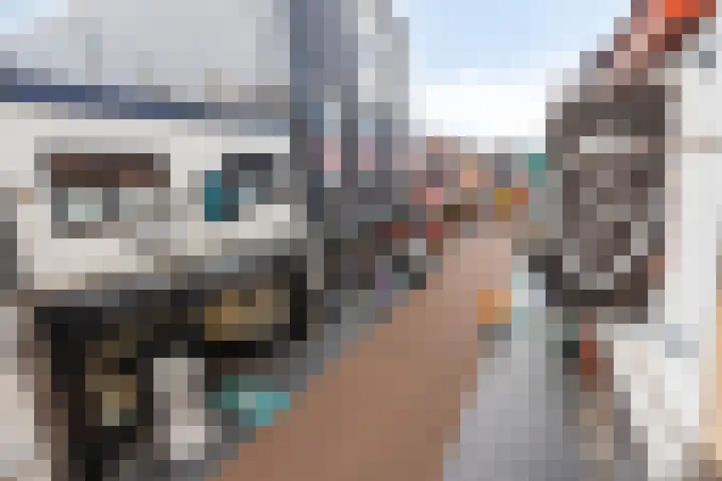 Herenhof 3 d Raalte thumbnail 20