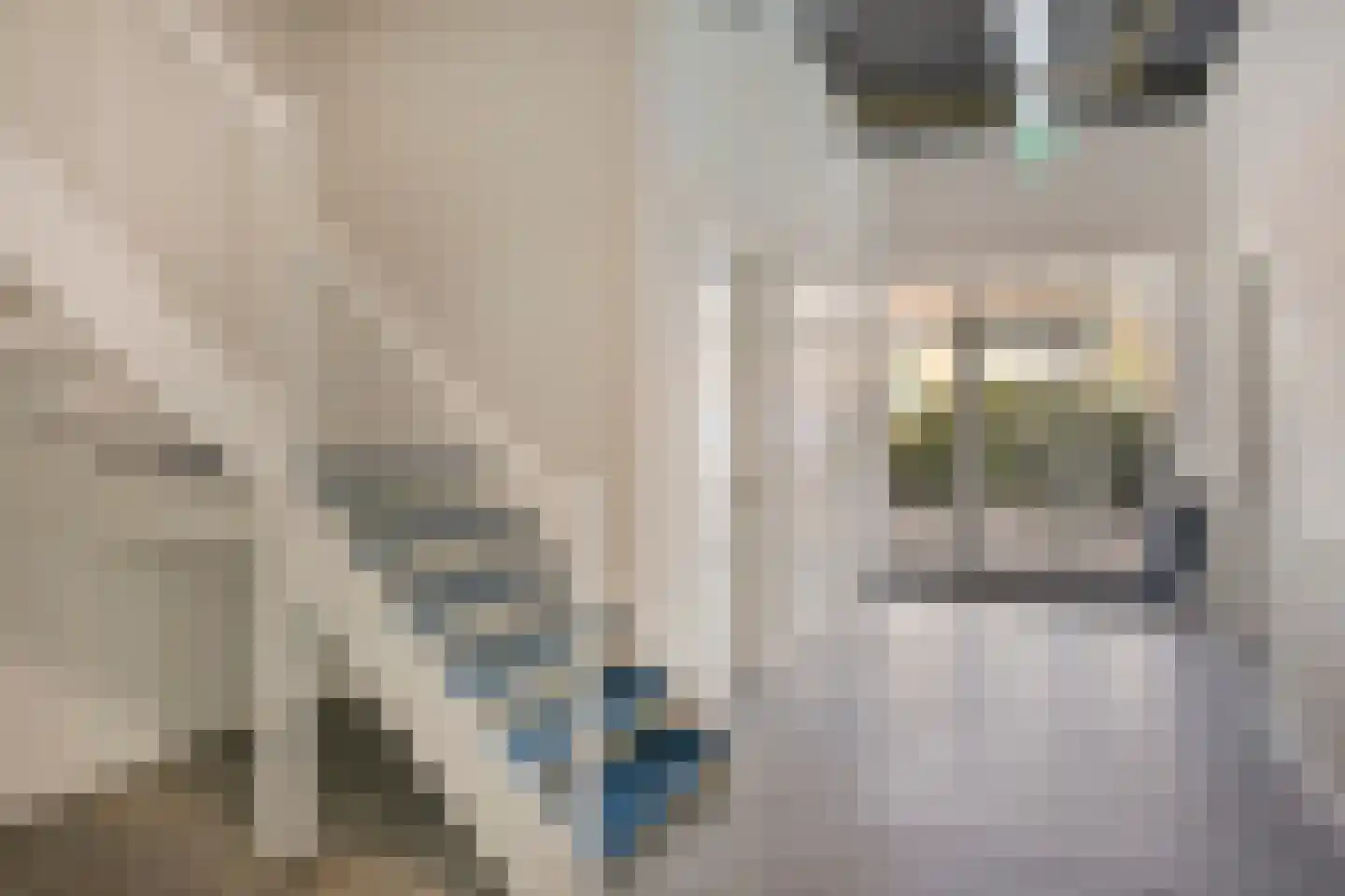 Herenhof 3 d Raalte thumbnail 31
