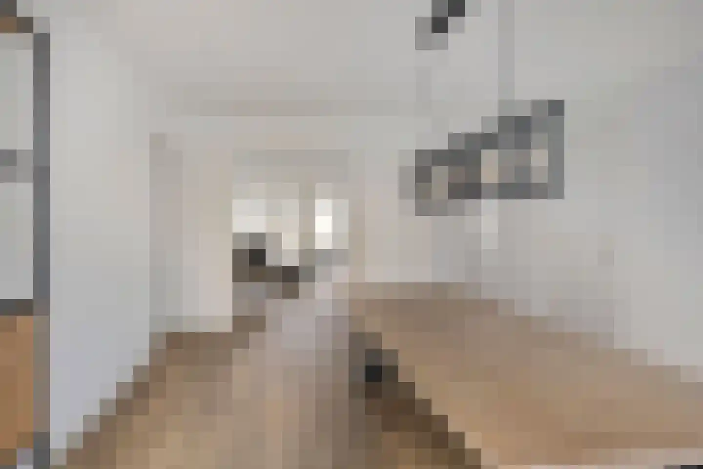 Herenhof 3 d Raalte thumbnail 6