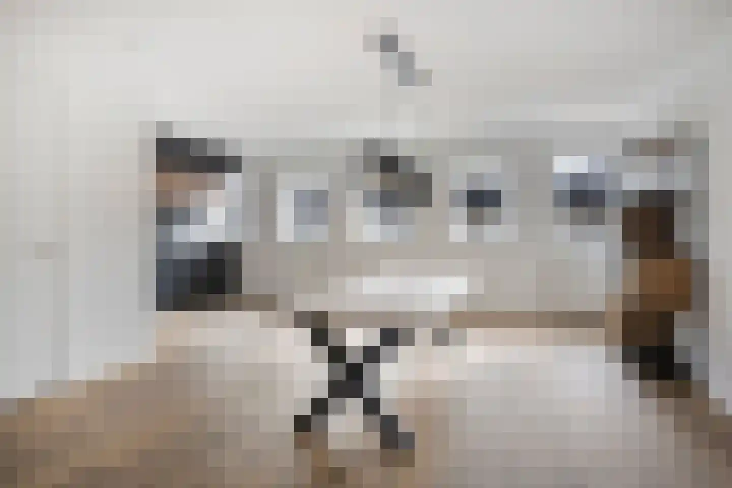 Herenhof 3 d Raalte thumbnail 8