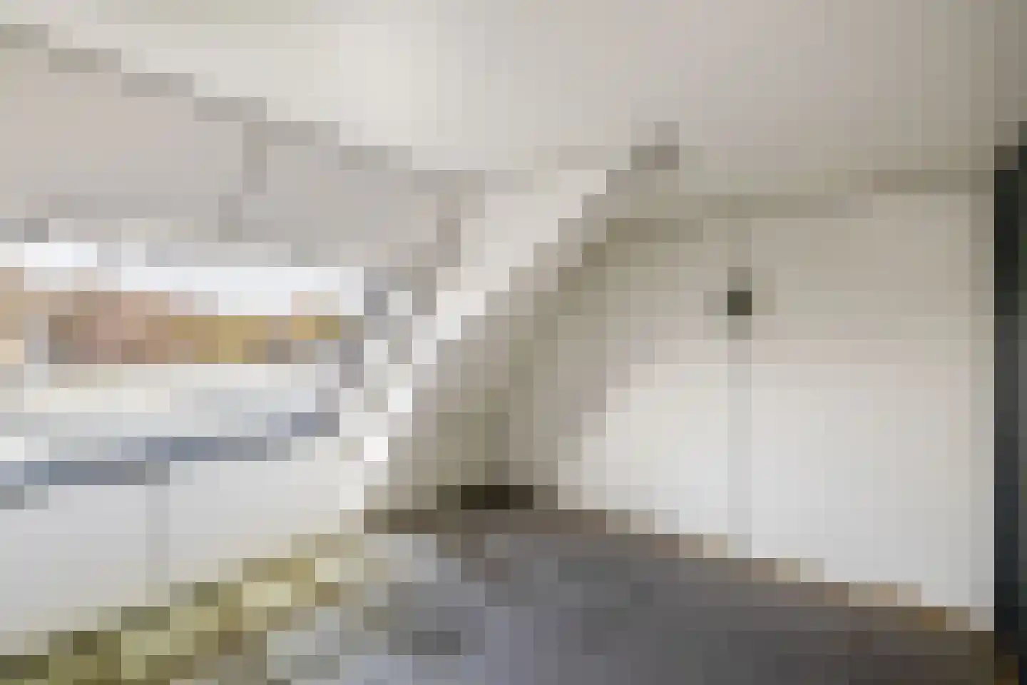 Herenhof 3 e Raalte thumbnail 15