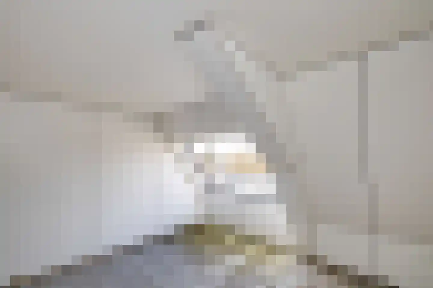 Herenhof 3 e Raalte thumbnail 16