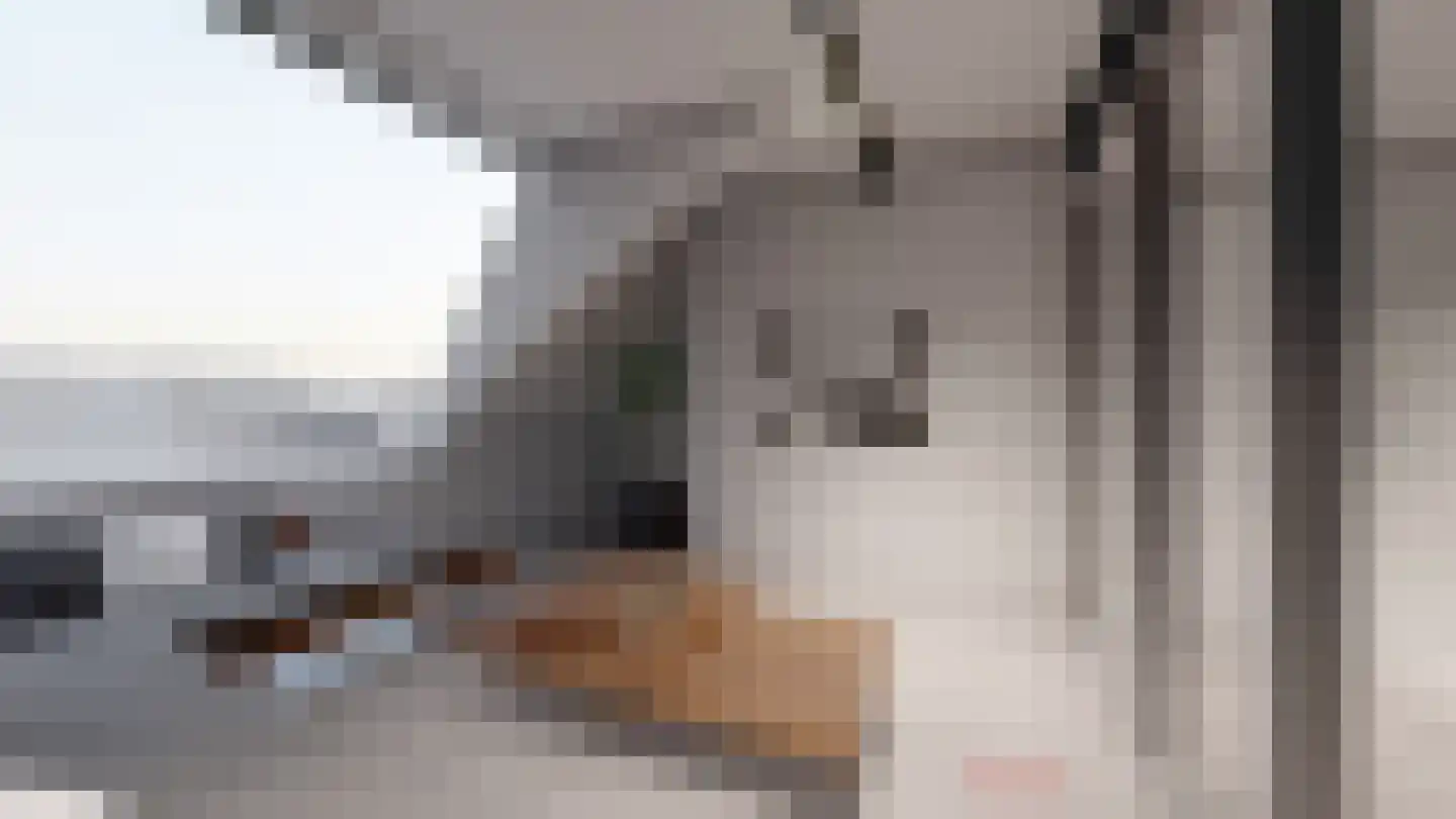Herenhof 3 e Raalte thumbnail 18