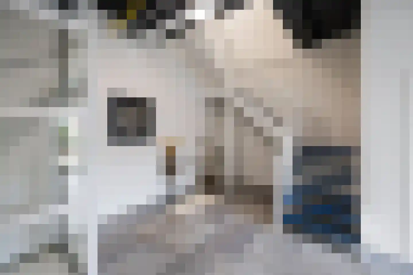 Herenhof 3 e Raalte thumbnail 20