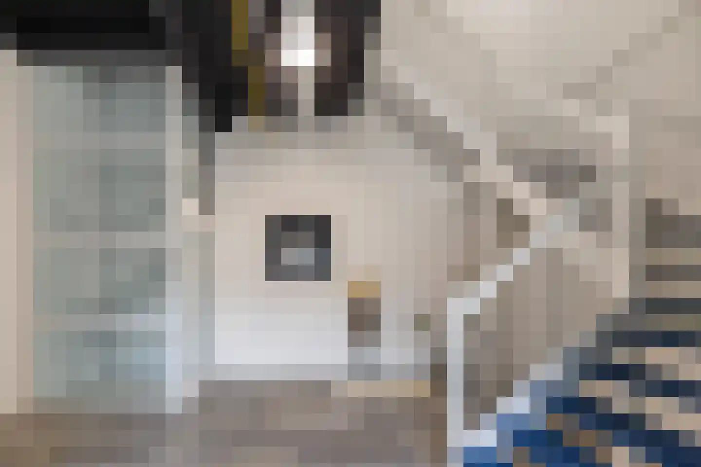 Herenhof 3 e Raalte thumbnail 21