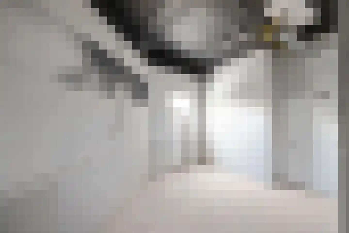 Herenhof 3 e Raalte thumbnail 24