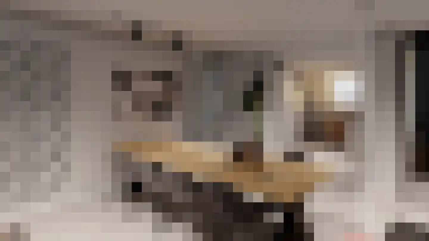 Herenhof 3 e Raalte thumbnail 9