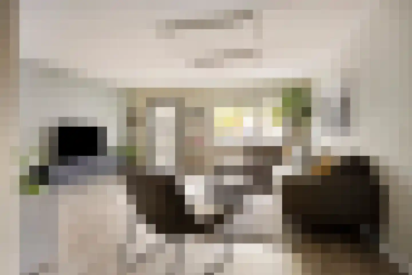 Herenhof 31 Heerenveen thumbnail 10