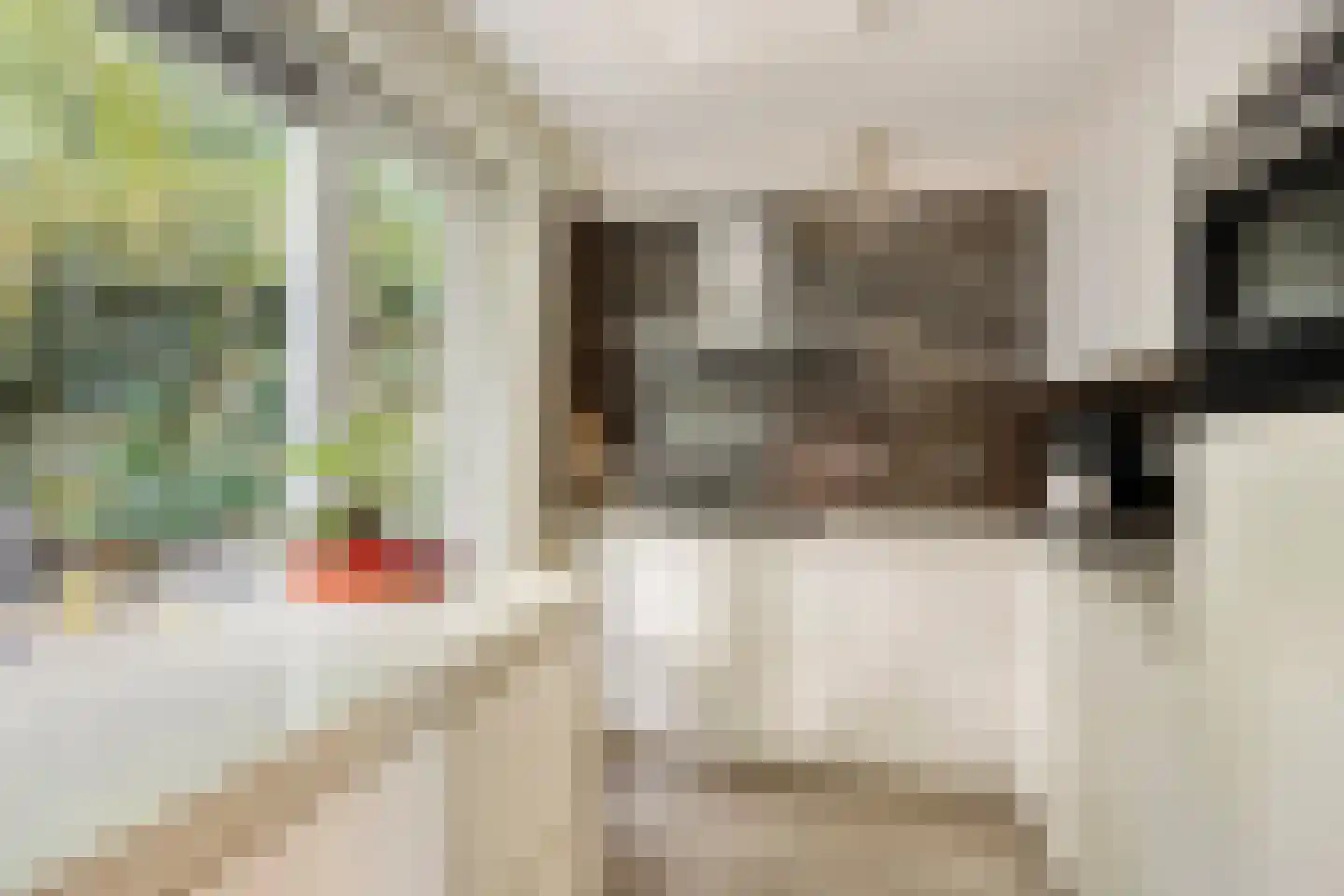 Herenhof 31 Heerenveen thumbnail 15
