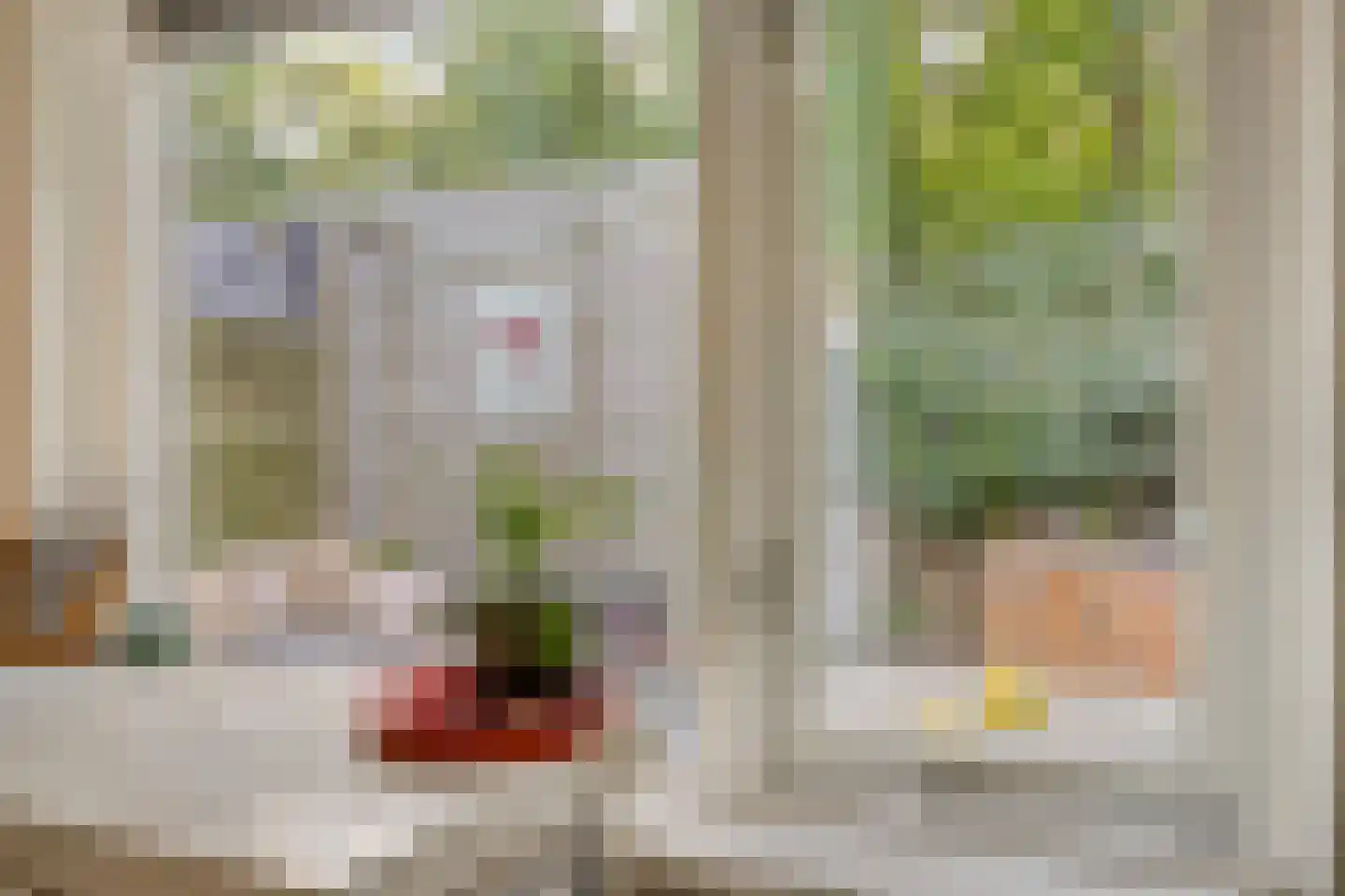 Herenhof 31 Heerenveen thumbnail 18