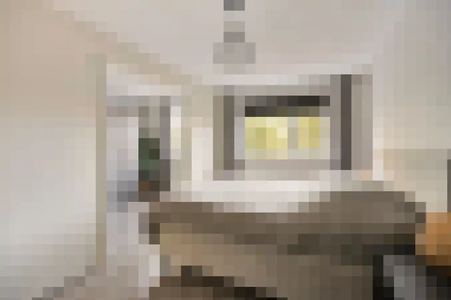 Herenhof 31 Heerenveen thumbnail 23