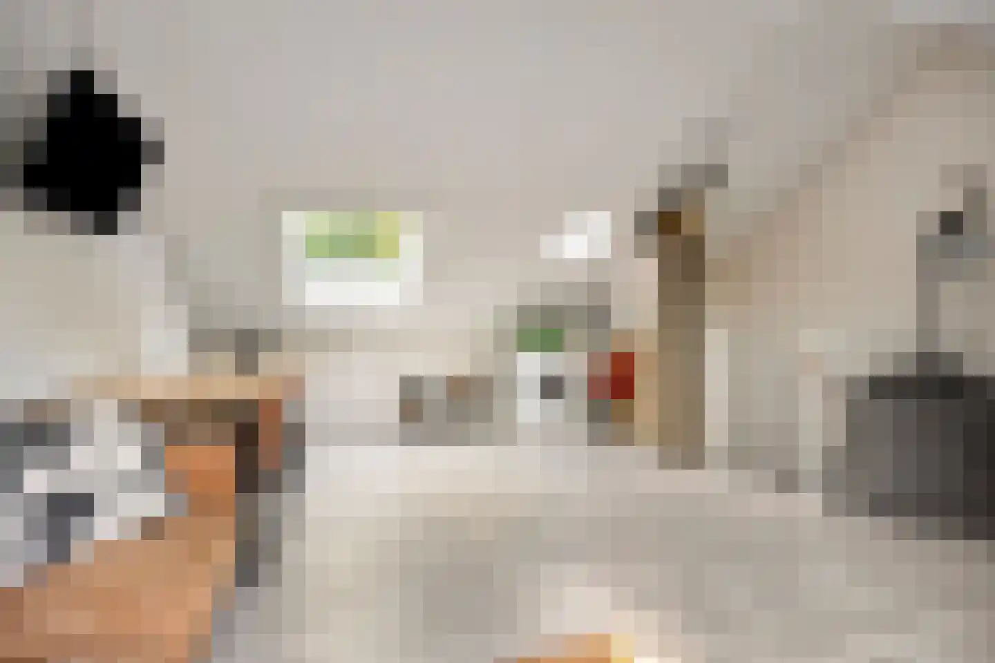 Herenhof 31 Heerenveen thumbnail 33