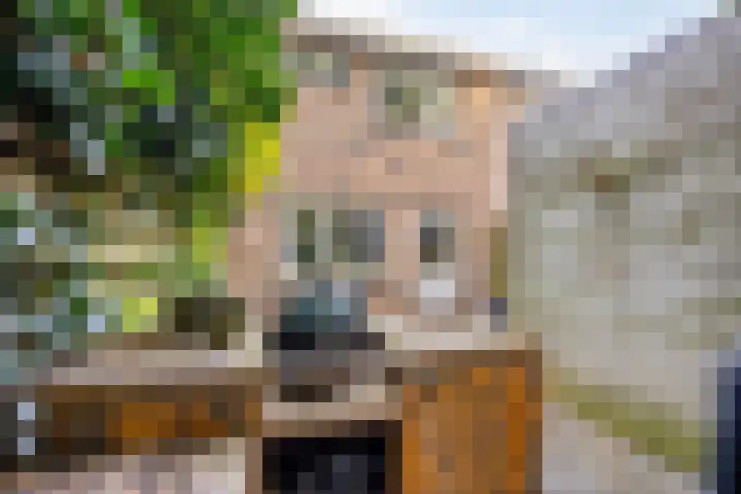 Herenhof 31 Heerenveen thumbnail 36