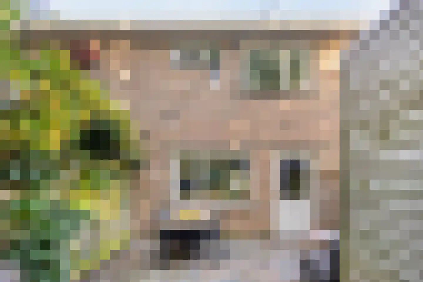 Herenhof 31 Heerenveen thumbnail 37