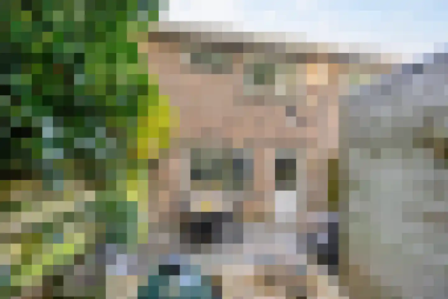 Herenhof 31 Heerenveen thumbnail 38