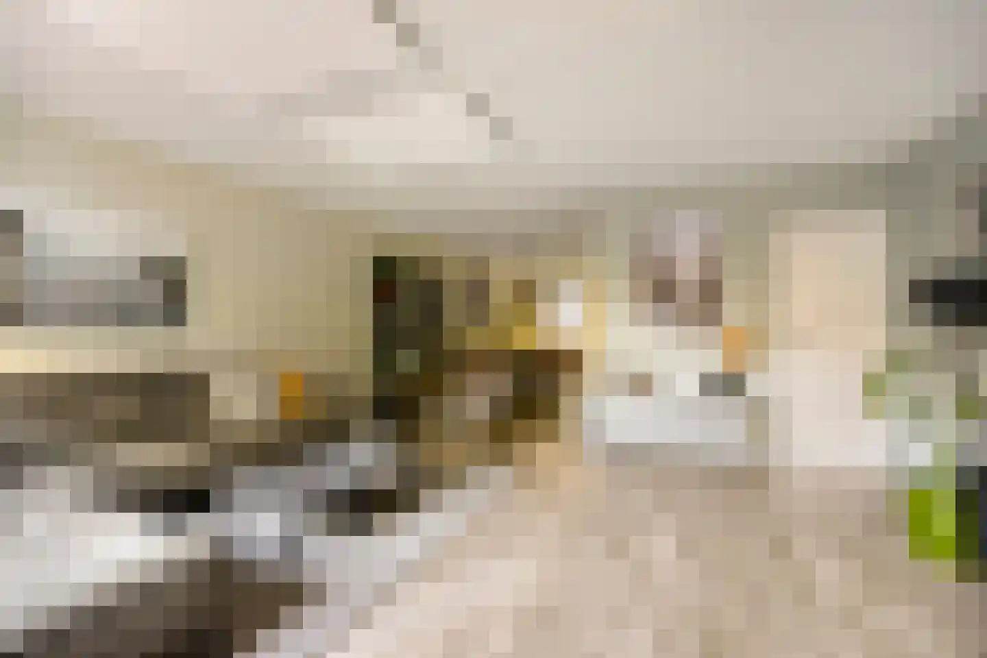 Herenhof 31 Heerenveen thumbnail 4