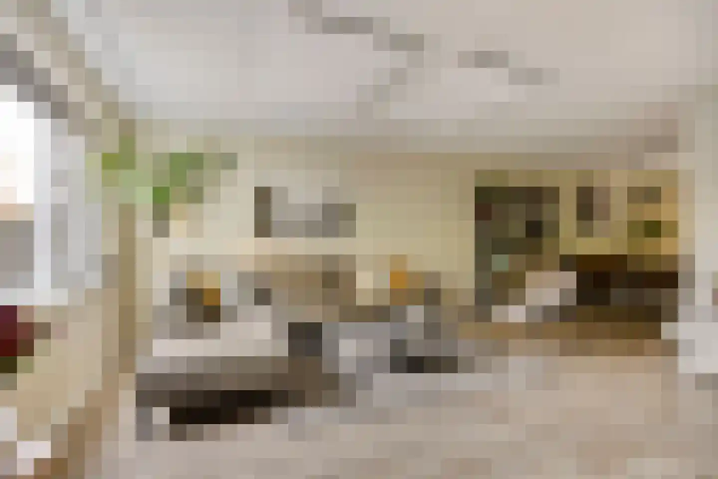 Herenhof 31 Heerenveen thumbnail 9
